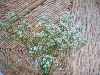 schleierkraut DIY Kranz bohostyle boho