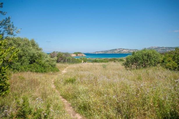 Weg durch die Vegetation zum Strand mit dem MTB