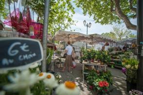 Wochenmarkt von Saint Tropez mit Personen am Blumen Stand