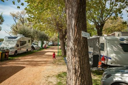 Gardasee Stellplatz direkt am See mit Wohnmobilen und Wohnwagen