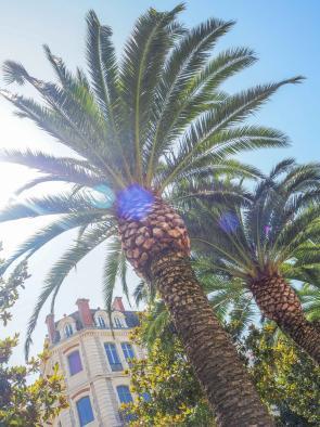 MYSMALLHOUSE.de Surfen und Camping Campingplatz Wohnwagen Zelten Le Saint Martin Atlantik Baden Dünen Surfkurs Sommer Strand Urlaub Stellplatz Ausflugsziele Autofahren Umgebung erkunden Tipps Biarritz Stadt Strand Palmen