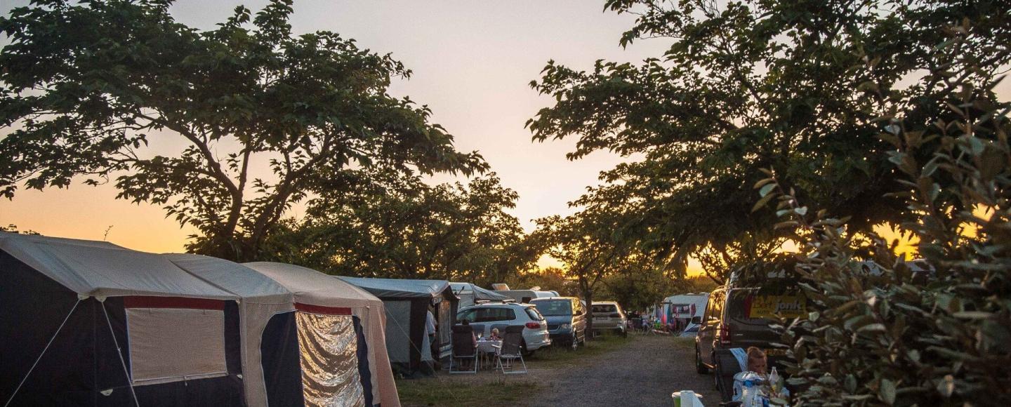 Übersicht aller Beiträge Camping Campingplatz Wohnwagen Zelten Le Saint Martin Atlantik Surfen Baden Dünen