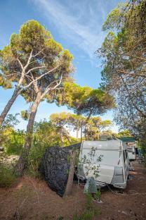 Wohnwagen von vorne auf dem Stellplatz mit Bäumen und Sträuchern - Camping in Apulien