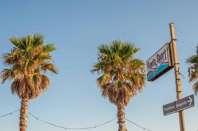 Palmen am Meer vor Himmel - Camping in Apulien