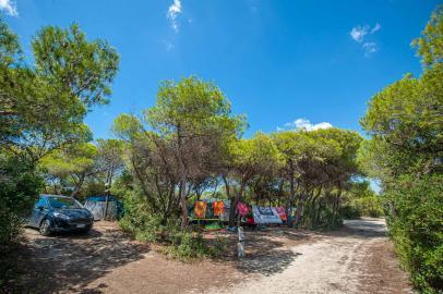 Stellplätze unter Bäumen mit Schatten Riva di Ugento - Camping in Apulien