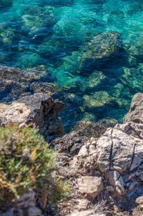 glasklares Meer mt Felsen und grünen Pflanzen - Hinterland von Salento