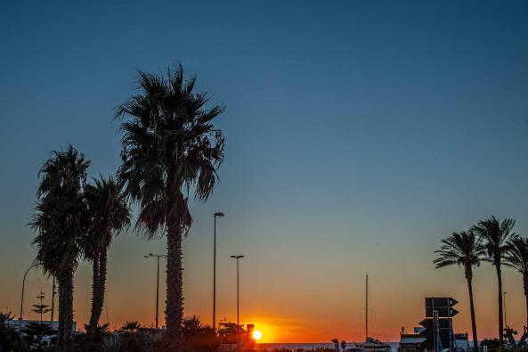 Sonnenuntergang vor Palmen in Gallipoli - Hinterland von Salento